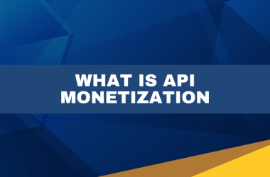 What is API Monetization