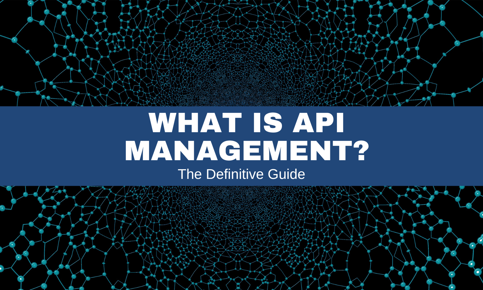 What Is API Management The Definitive Guide Layer 7 Tech